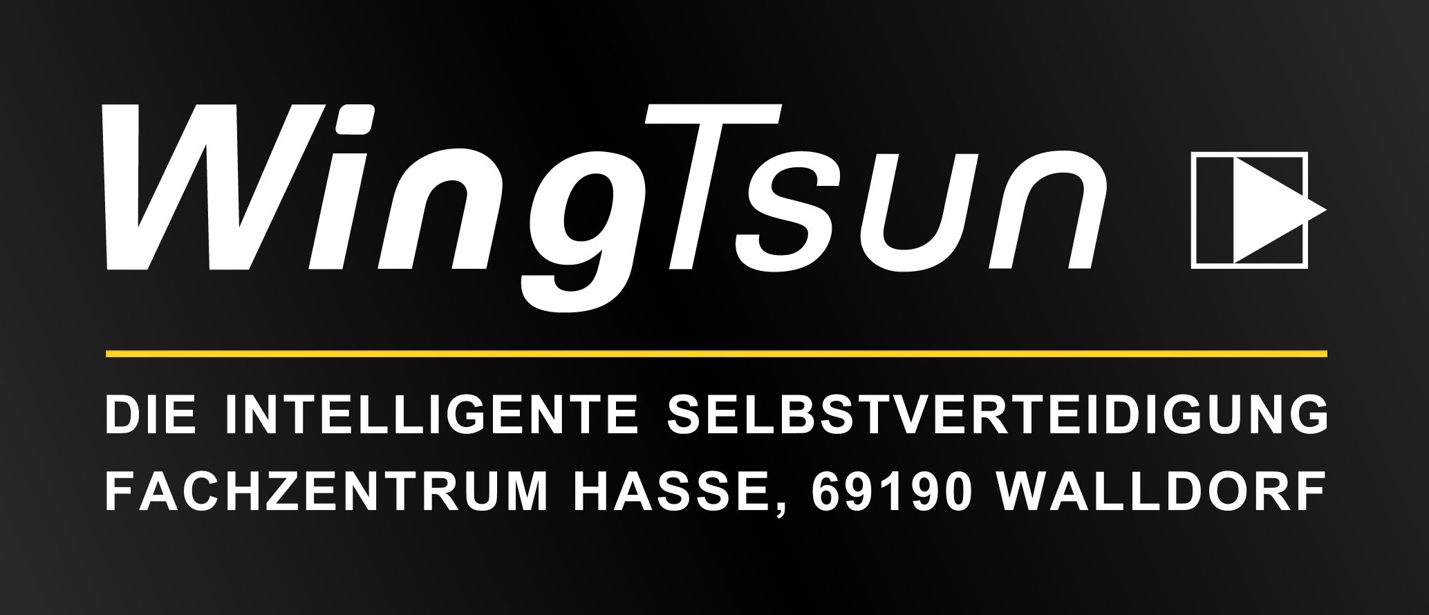 partner-logo-wingtsung walldorf
